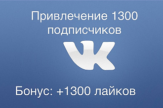 Привлеку 1300 подписчиков в ВК. Бонус 1300 лайков
