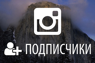 Instagram Подписчики