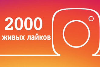 3000+10 лайков на фото в Инстаграм,Живые исполнители