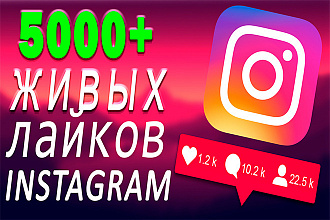 5000 живых лайков для Instagram. Гарантия. Без списаний. Бонусом 10%