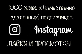 1000 живых, качественно оформленных подписчиков instagram