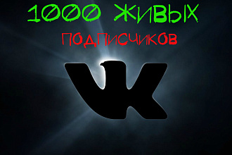 1000 ЖИВЫХ подписчиков вконтакте на профиль или группу