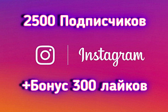 2500 подписчиков на профиль в Instagram + бонус 300 лайков