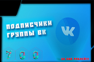 Раскрутка группы или паблика Вк