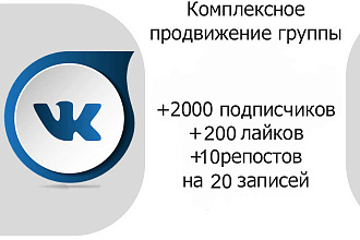 Комплексное продвижение группы Вконтакте с акцентом на записи
