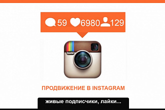 600 Подписчиков в Instagram, живые исполнители с гарантией
