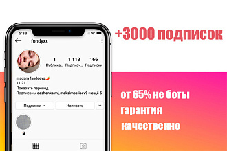 3000 подписок Instagram. Гарантия