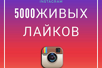 5000 живых лайков в instagram