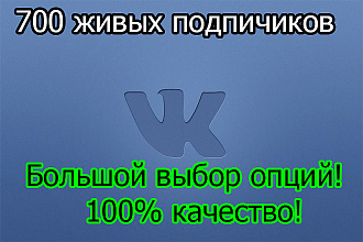 700 подписчиков - друзей Вконтакте на Ваш профиль или в группу