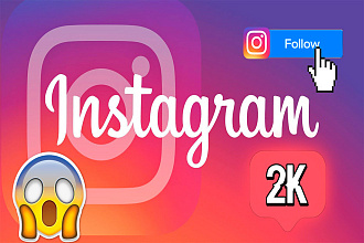 +2000 подписчиков в instagram