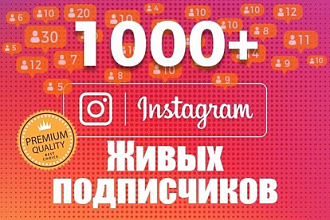 Добавление 1000 подписок Instagram