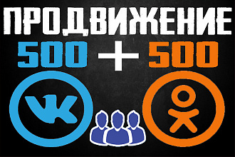 Привлечение подписчиков VK 500 подписчиков + бонус 500 подписчиков ОК