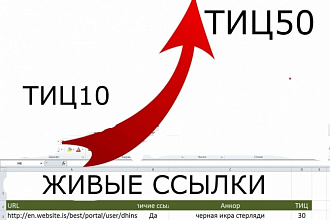 Размещение 100 вечных ссылок на трастовых сайтах с ИКС от 50 до 300