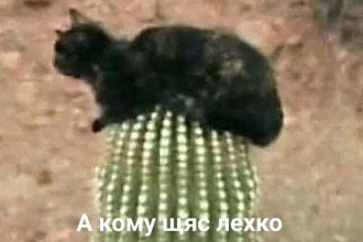 Любой вид раскрутки аккаунта Инстаграмм