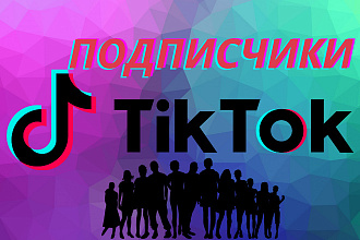 Подписчики в TikTok