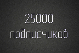 25000 подписчиков Instagram