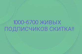1000-6000 русскоязычных подписчиков