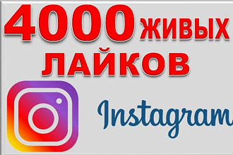 4000 тысячи живых лайков в Instagram