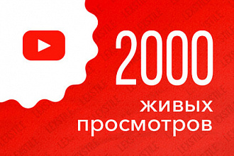 2000 живых просмотров видео на YouTube с охватом