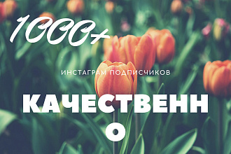 1000 инстаграм подписчиков