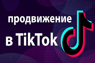 Продвижение 1000-5000 просмотров в TikTok