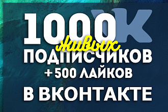 Добавлю в вашу группу 1000 качественных подписчиков