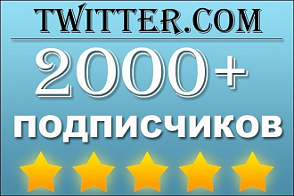Подписчики в Твиттер 2000 подписчиков