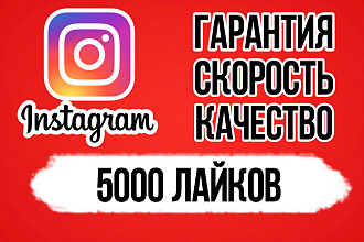 Добавлю 5000 лайков в Инстаграмм