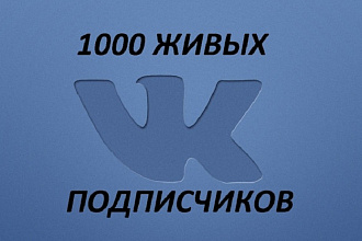 Подписчики в Вконтакте