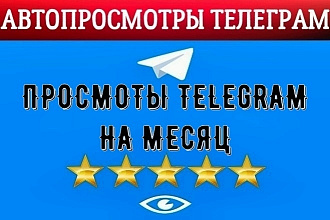 300000 просмотров Телеграм на месяц +БОНУС. Автопросмотры Telegram