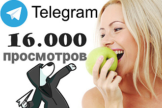 16000 просмотров Телеграм на 20 записей по 800