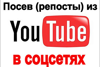 500 репостов видео с Youtube в соцсетях живыми пользователями из РФ