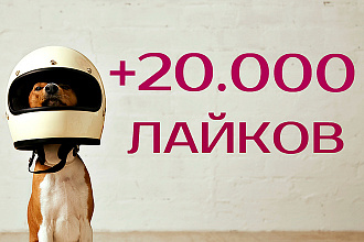 20.000 лайков в Instagram + бонусы