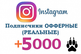 5000 подписчиков в Instagram офферные