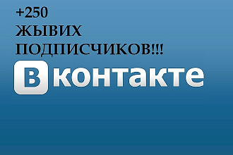 250 живых подписчиков в вашу группу Вконтакте