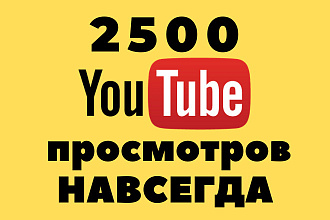 2500 просмотров на роликах в YouTube