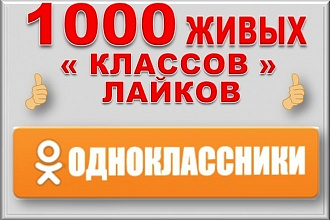 1000 живых классов, +бонус 100 репостов в Одноклассники, Ок. Комплект