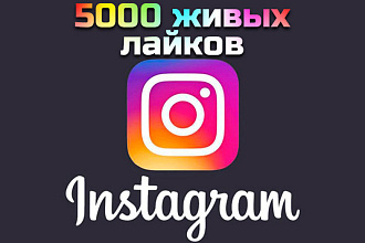 5000 живых лайков в Instagram
