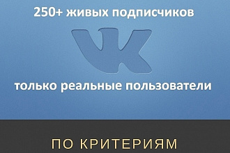 300 живых подписчиков за 250 рублей