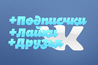 1000 подписчиков или друзей на вашу станицу Вконтакте +500 лайков