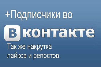 +Подписчики во Вконтакте. Так же +лайки и репосты