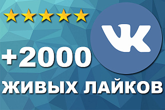 +2000 живых лайков ВКонтакте