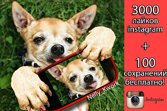 3000 русских лайков в instagram + 100 сохранений бесплатно