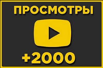 +2000 просмотров на Youtube