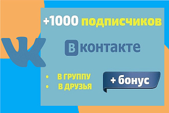 Привлечение подписчиков Вконтакте+1000
