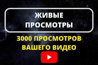3000 Просмотров на Ваше видео YouTube