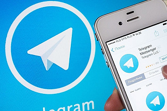 600+ подписчиков на канал Telegram