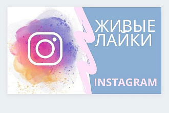 В этой услуге я вам сделаю 2000 качественных лайков