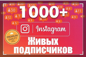 1000 инстаграм подписчиков