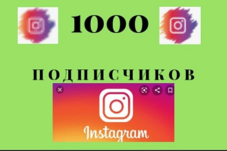 1000 инстаграм подписчиков